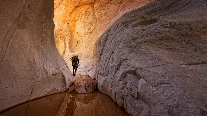 ラスト オブ ザ グレイト アンノウン