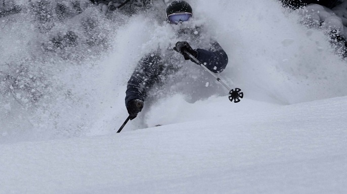 ユニコーン サシミ