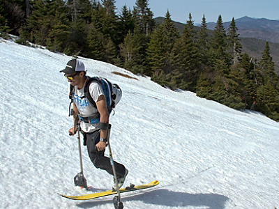 Vasu Sojitra-Out On a Limb